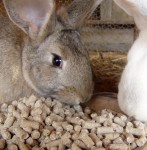 Krmivo pre za zajace a ine - K  22- papierove vrece 20 kg vypredané